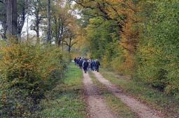 Réunions forestières 2026_1903x510