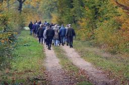 Réunions forestières 2026_1903x510px