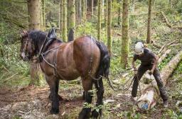 Reunion 19 27-03-2026