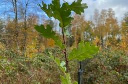 Reunion 30 25-03-2026