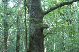 Réunion 1 20-03-2026