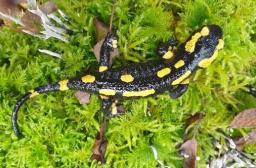 Reunion 24 16-03-2025