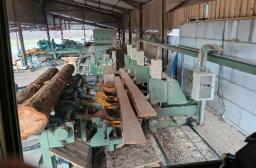 Reunion 29 20-03-2026