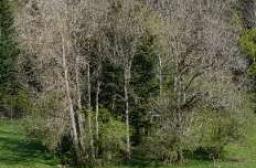 Reunion 10 24-10-2026