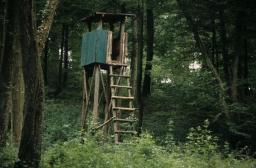 Reunion 43 16-10-2026