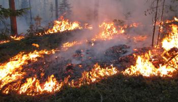 Incendie