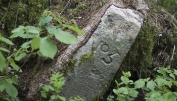 borne forestiere