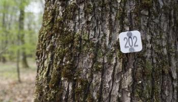 Reunion 24 26-09-2025