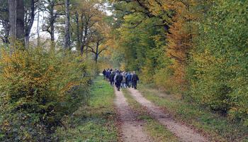 Réunions forestières 2026_1903x510