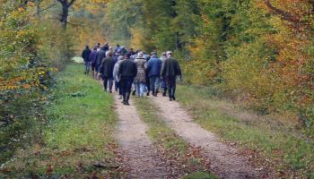 Réunions forestières 2026_1903x510px
