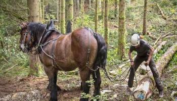 Reunion 19 27-03-2026