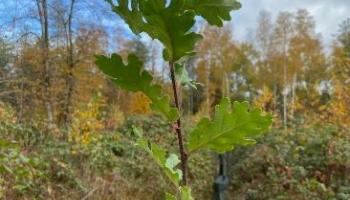 Reunion 30 25-03-2026