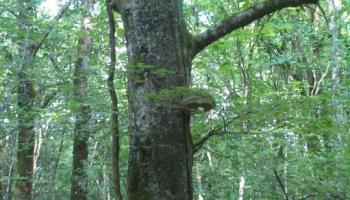 Réunion 1 20-03-2026