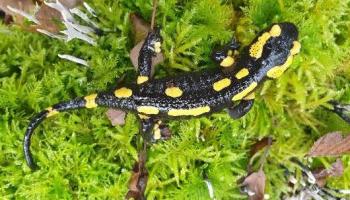 Reunion 24 16-03-2025