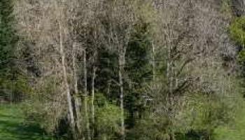 Reunion 10 24-10-2026