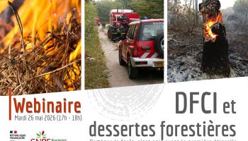 Visuel webinaire DFCI