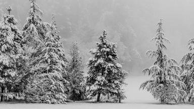 Hiver