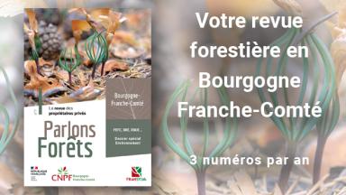 Vignette journal Parlons Forets BFC #7