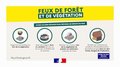 FeuxDeForêt_620x430-geste_24-1_1