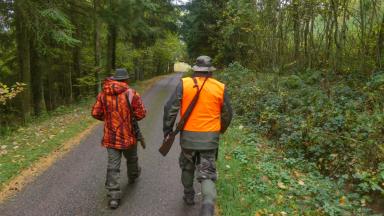 Chasseurs
