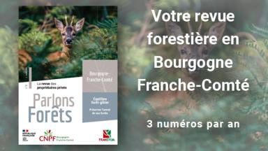 Vignette journal Parlons Forêts #8