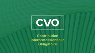 Visuel CVO