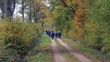 Réunions forestières 2026_1903x510