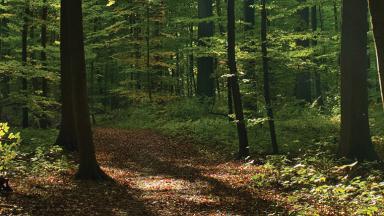 Bandeau CBPS 1600x429