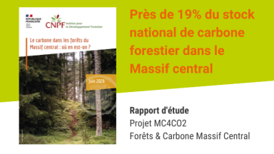 Le carbone dans les forêts du Massif central : où en est-on ?