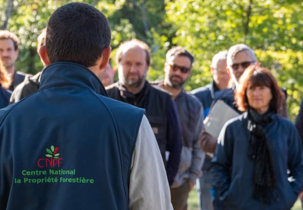 Vignette Réunions forestieres 2025