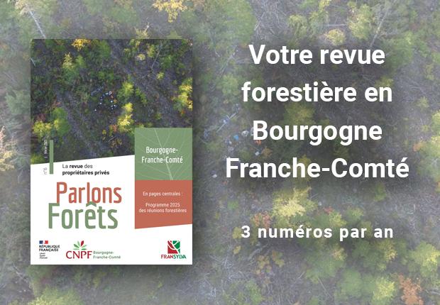 Vignette journal Parlons Forêts en BFC #6