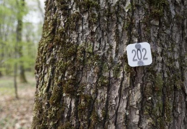 Reunion 24 26-09-2025