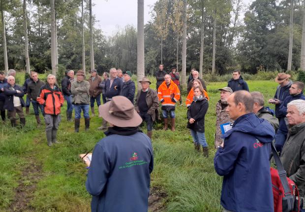 Tournée technique Peuplier en BFC