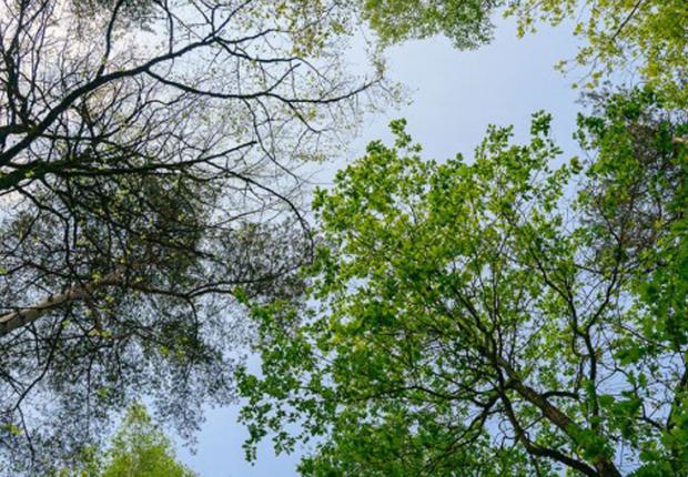 IGN memento 2025_1903x510