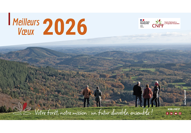 Carte de voeux 2026 - format web 620x430