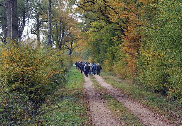 Réunions forestières 2026_1903x510