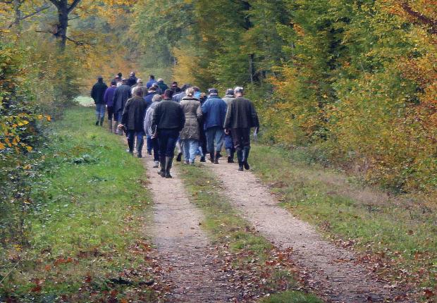 Réunions forestières 2026_1903x510px