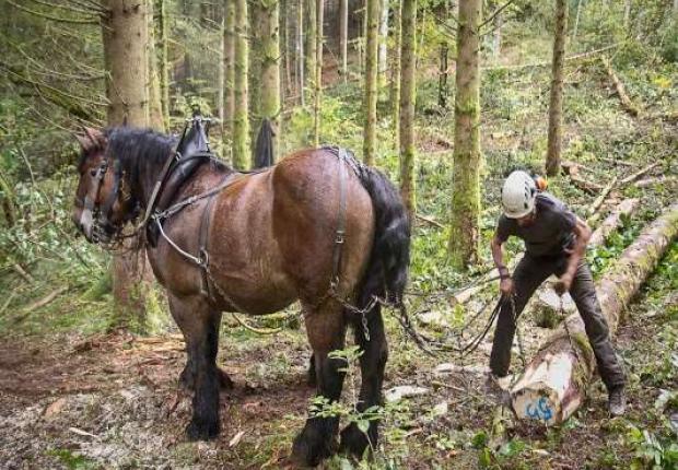 Reunion 19 27-03-2026