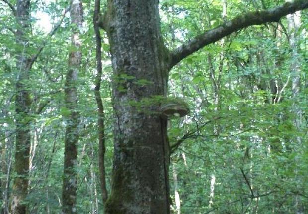 Réunion 1 20-03-2026