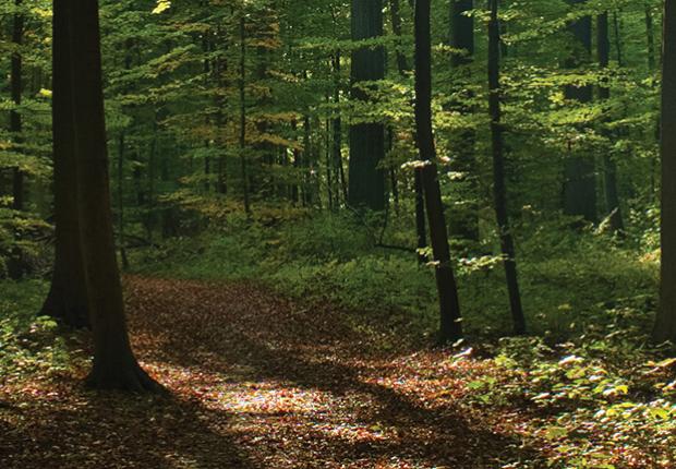 Bandeau CBPS 1600x429