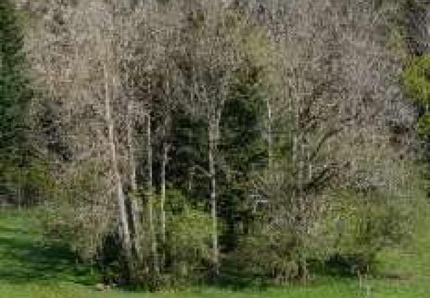 Reunion 10 24-10-2026