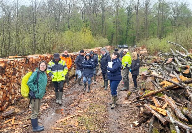 Visite restructuration fonciere 20260413-1