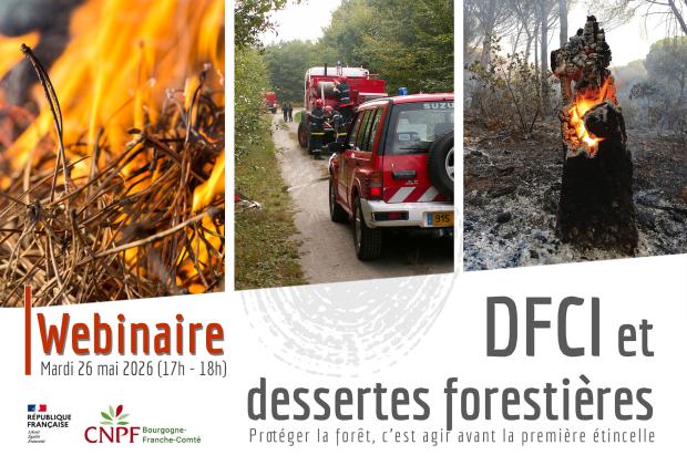 Visuel webinaire DFCI