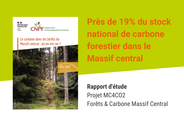 Le carbone dans les forêts du Massif central : où en est-on ?