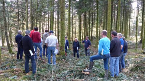 Votre forêt vous intéresse