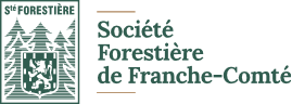 Logo SFFC