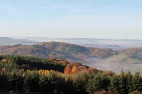 Paysage Autunois