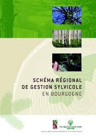 SRGS Bourgogne
