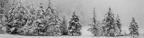 Hiver