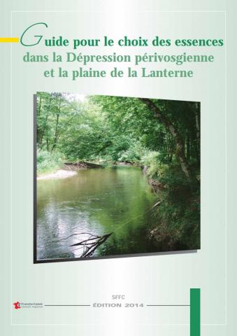 Dépression périvosgienne 2014